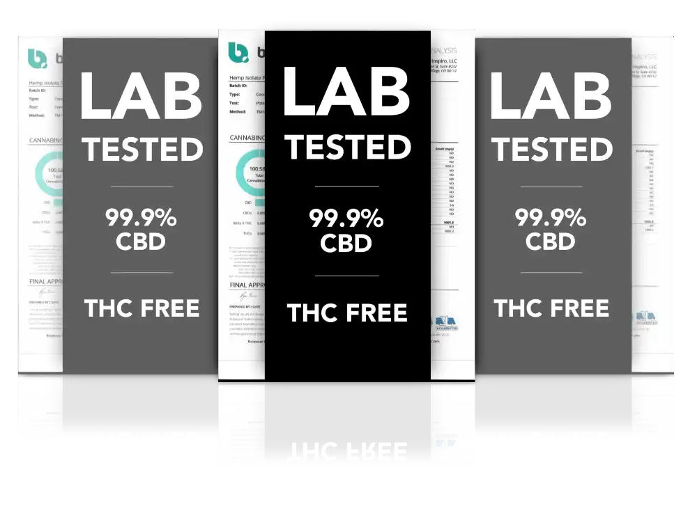 Lab Results